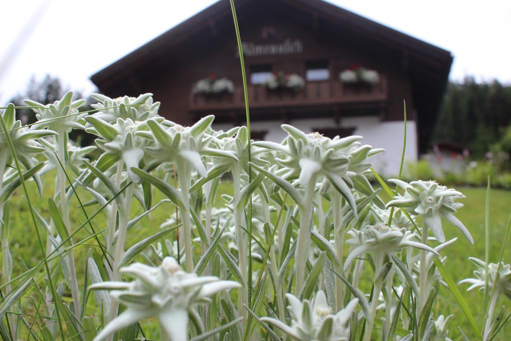 Haus Almrausch Hotel Seefeld in Tirol Ngoại thất bức ảnh