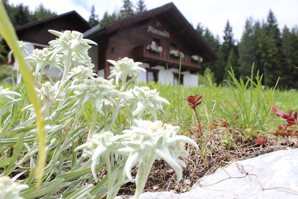 Haus Almrausch Hotel Seefeld in Tirol Ngoại thất bức ảnh